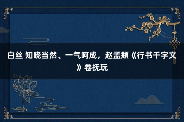 白丝 知晓当然、一气呵成，赵孟頫《行书千字文》卷抚玩