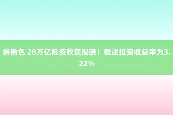 撸撸色 28万亿险资收获揭晓！概述投资收益率为3.22%