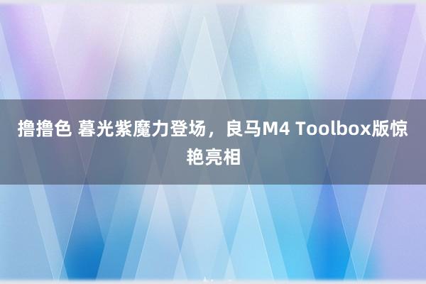 撸撸色 暮光紫魔力登场，良马M4 Toolbox版惊艳亮相