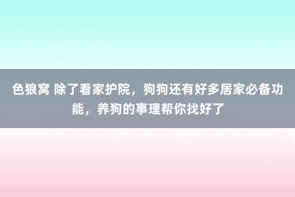 色狼窝 除了看家护院，狗狗还有好多居家必备功能，养狗的事理帮你找好了