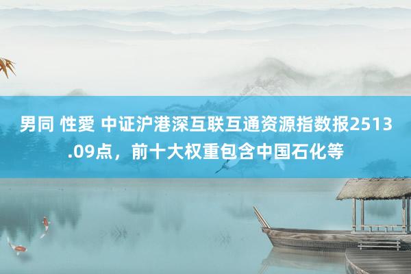 男同 性愛 中证沪港深互联互通资源指数报2513.09点，前十大权重包含中国石化等