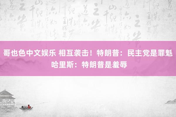 哥也色中文娱乐 相互袭击！特朗普：民主党是罪魁 哈里斯：特朗普是羞辱