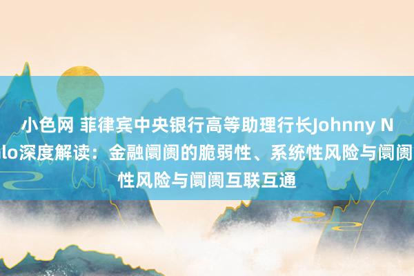 小色网 菲律宾中央银行高等助理行长Johnny Noe Ravalo深度解读：金融阛阓的脆弱性、系统性风险与阛阓互联互通