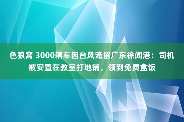 色狼窝 3000辆车因台风淹留广东徐闻港：司机被安置在教室打地铺，领到免费盒饭