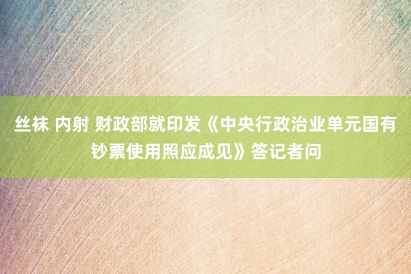 丝袜 内射 财政部就印发《中央行政治业单元国有钞票使用照应成见》答记者问