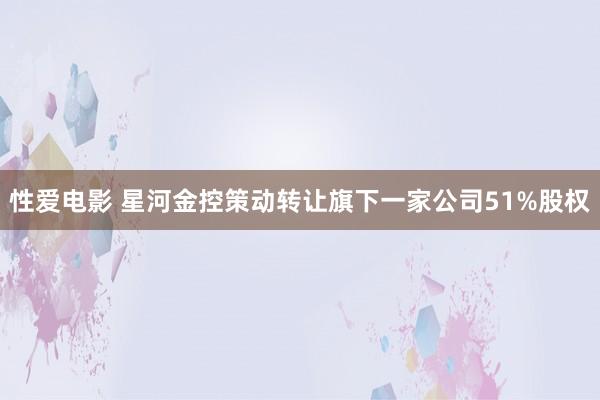 性爱电影 星河金控策动转让旗下一家公司51%股权