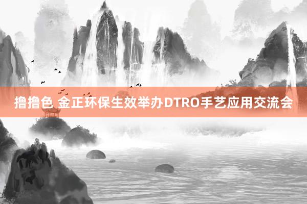 撸撸色 金正环保生效举办DTRO手艺应用交流会