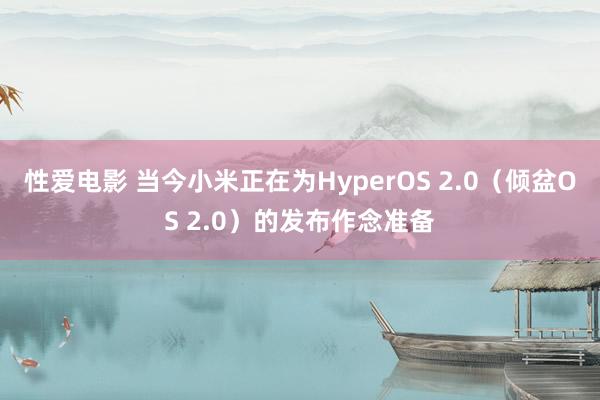 性爱电影 当今小米正在为HyperOS 2.0（倾盆OS 2.0）的发布作念准备