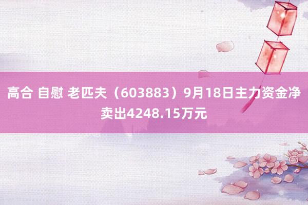 高合 自慰 老匹夫（603883）9月18日主力资金净卖出4248.15万元