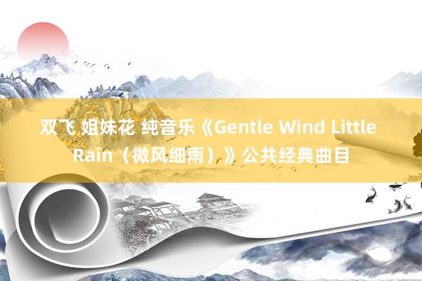 双飞 姐妹花 纯音乐《Gentle Wind Little Rain（微风细雨）》公共经典曲目