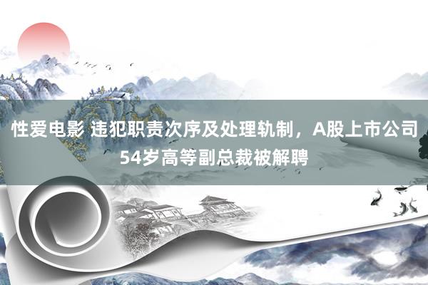 性爱电影 违犯职责次序及处理轨制，A股上市公司54岁高等副总裁被解聘