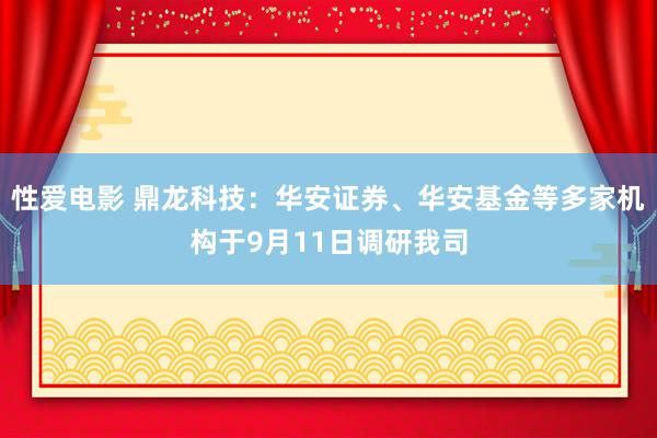 性爱电影 鼎龙科技：华安证券、华安基金等多家机构于9月11日调研我司