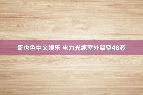 哥也色中文娱乐 电力光缆室外架空48芯