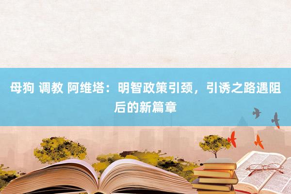 母狗 调教 阿维塔：明智政策引颈，引诱之路遇阻后的新篇章