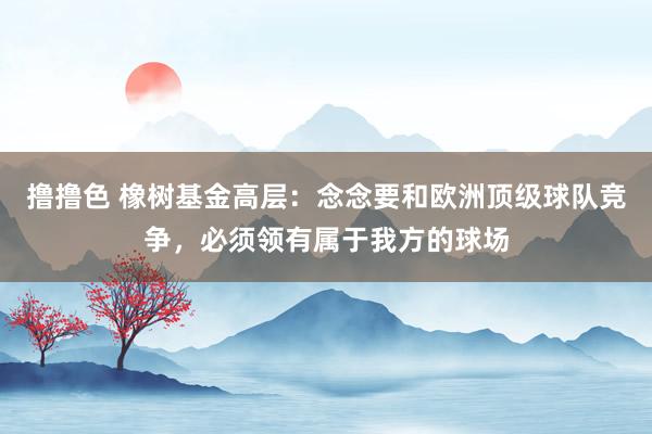 撸撸色 橡树基金高层：念念要和欧洲顶级球队竞争，必须领有属于我方的球场