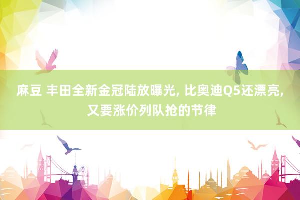 麻豆 丰田全新金冠陆放曝光， 比奥迪Q5还漂亮， 又要涨价列队抢的节律