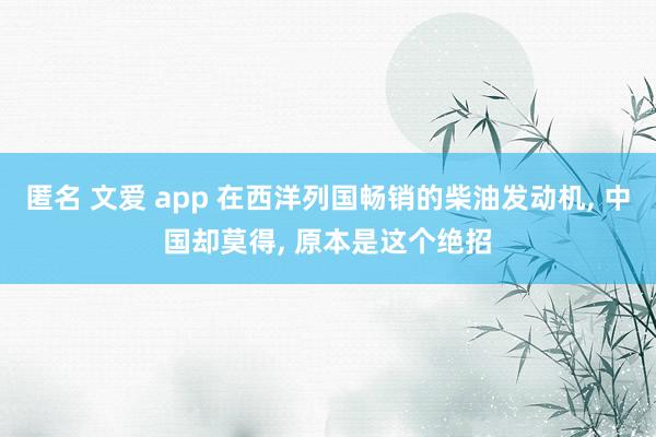 匿名 文爱 app 在西洋列国畅销的柴油发动机， 中国却莫得， 原本是这个绝招