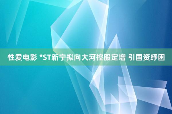 性爱电影 *ST新宁拟向大河控股定增 引国资纾困