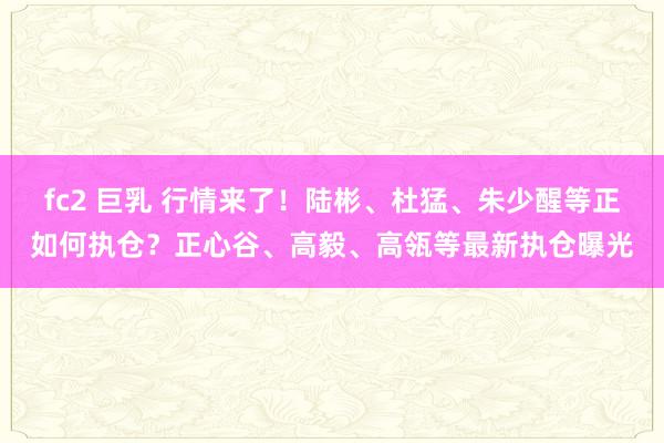 fc2 巨乳 行情来了！陆彬、杜猛、朱少醒等正如何执仓？正心谷、高毅、高瓴等最新执仓曝光