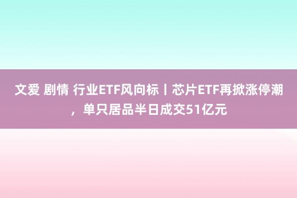 文爱 剧情 行业ETF风向标丨芯片ETF再掀涨停潮，单只居品半日成交51亿元