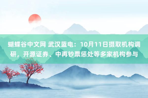 蝴蝶谷中文网 武汉蓝电：10月11日摄取机构调研，开源证券、中再钞票惩处等多家机构参与