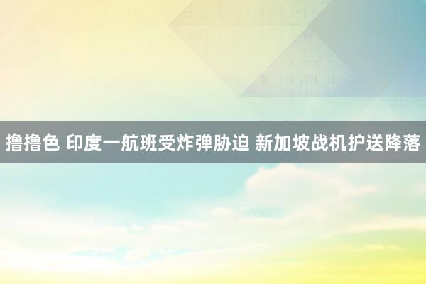 撸撸色 印度一航班受炸弹胁迫 新加坡战机护送降落