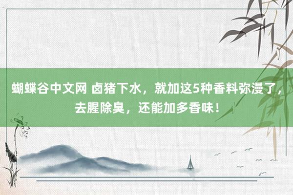 蝴蝶谷中文网 卤猪下水，就加这5种香料弥漫了，去腥除臭，还能加多香味！