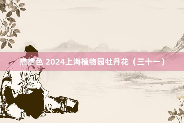 撸撸色 2024上海植物园牡丹花（三十一）