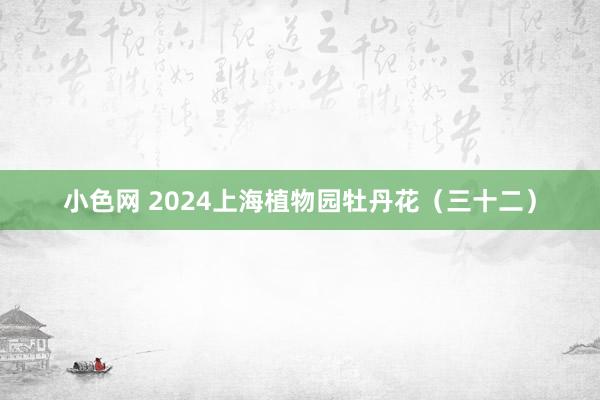 小色网 2024上海植物园牡丹花（三十二）