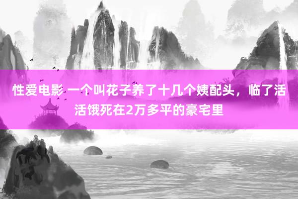 性爱电影 一个叫花子养了十几个姨配头，临了活活饿死在2万多平的豪宅里