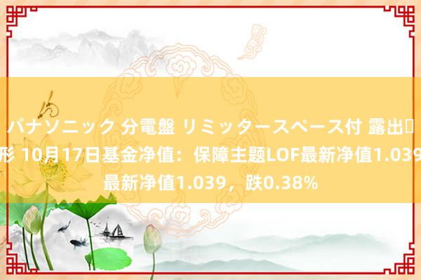 パナソニック 分電盤 リミッタースペース付 露出・半埋込両用形 10月17日基金净值：保障主题LOF最新净值1.039，跌0.38%