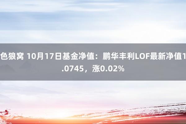 色狼窝 10月17日基金净值：鹏华丰利LOF最新净值1.0745，涨0.02%