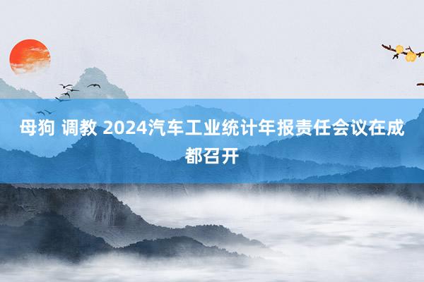 母狗 调教 2024汽车工业统计年报责任会议在成都召开