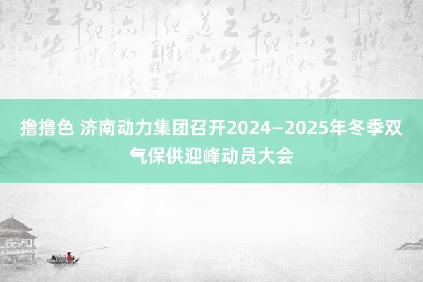 撸撸色 济南动力集团召开2024—2025年冬季双气保供迎峰动员大会