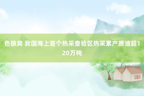 色狼窝 我国海上首个热采查验区热采累产原油超120万吨