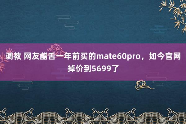 调教 网友齰舌一年前买的mate60pro，如今官网掉价到5699了