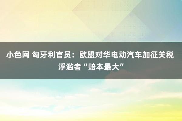 小色网 匈牙利官员：欧盟对华电动汽车加征关税 浮滥者“赔本最大”