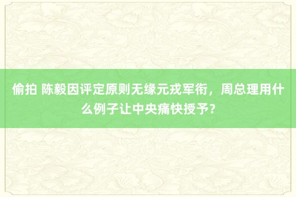 偷拍 陈毅因评定原则无缘元戎军衔，周总理用什么例子让中央痛快授予？