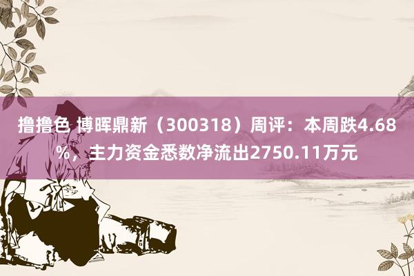 撸撸色 博晖鼎新（300318）周评：本周跌4.68%，主力资金悉数净流出2750.11万元