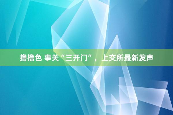 撸撸色 事关“三开门”，上交所最新发声