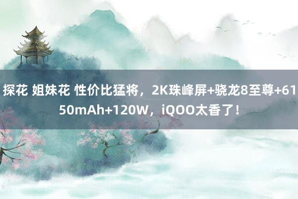 探花 姐妹花 性价比猛将，2K珠峰屏+骁龙8至尊+6150mAh+120W，iQOO太香了！