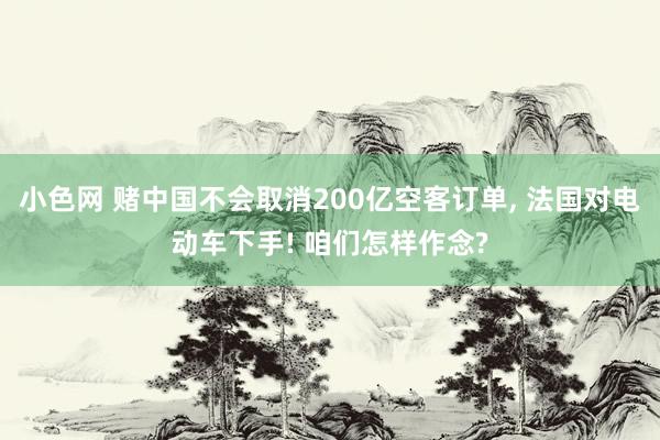 小色网 赌中国不会取消200亿空客订单， 法国对电动车下手! 咱们怎样作念?