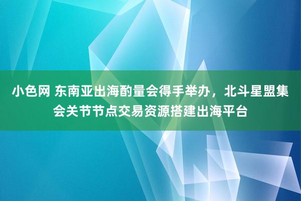 小色网 东南亚出海酌量会得手举办，北斗星盟集会关节节点交易资源搭建出海平台