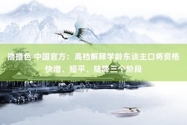 撸撸色 中国官方：高档解释学龄东谈主口将资格快增、短平、陡降三个阶段