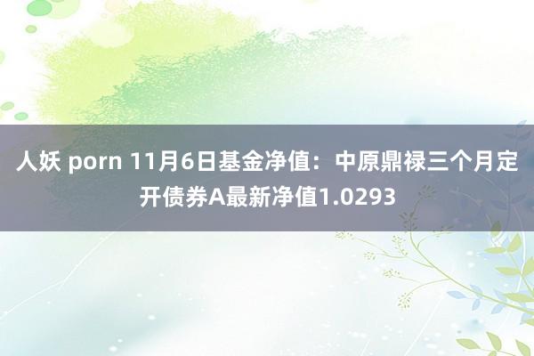 人妖 porn 11月6日基金净值：中原鼎禄三个月定开债券A最新净值1.0293