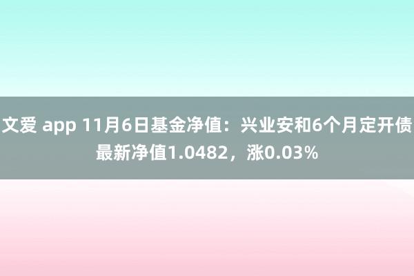 文爱 app 11月6日基金净值：兴业安和6个月定开债最新净值1.0482，涨0.03%