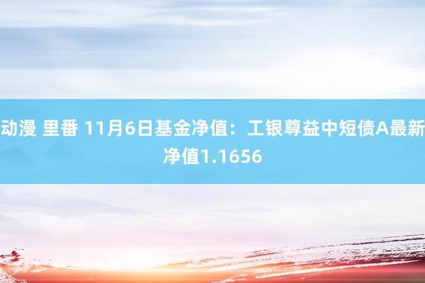 动漫 里番 11月6日基金净值：工银尊益中短债A最新净值1.1656