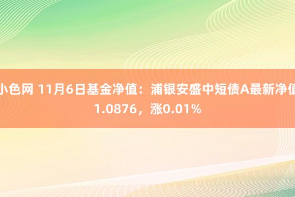 小色网 11月6日基金净值：浦银安盛中短债A最新净值1.0876，涨0.01%