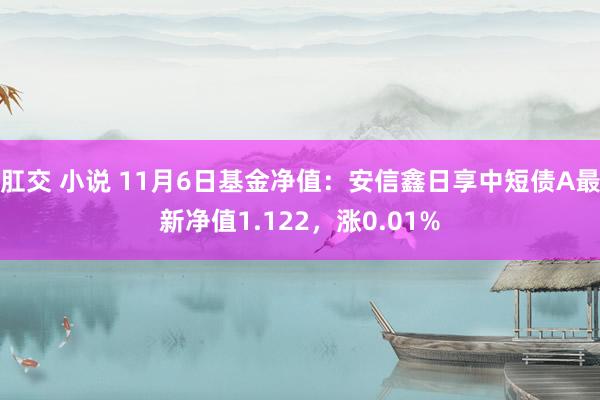 肛交 小说 11月6日基金净值：安信鑫日享中短债A最新净值1.122，涨0.01%