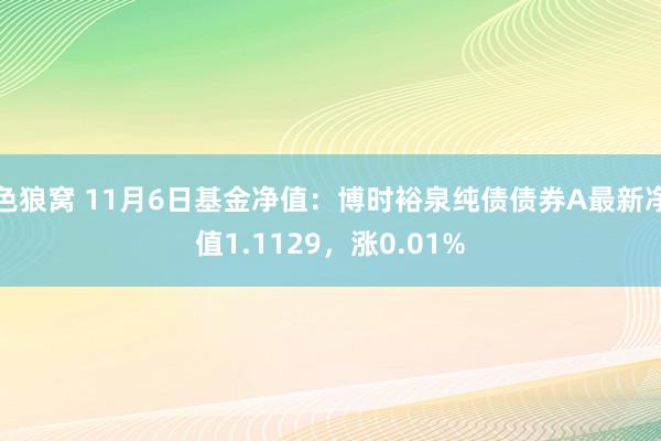 色狼窝 11月6日基金净值：博时裕泉纯债债券A最新净值1.1129，涨0.01%